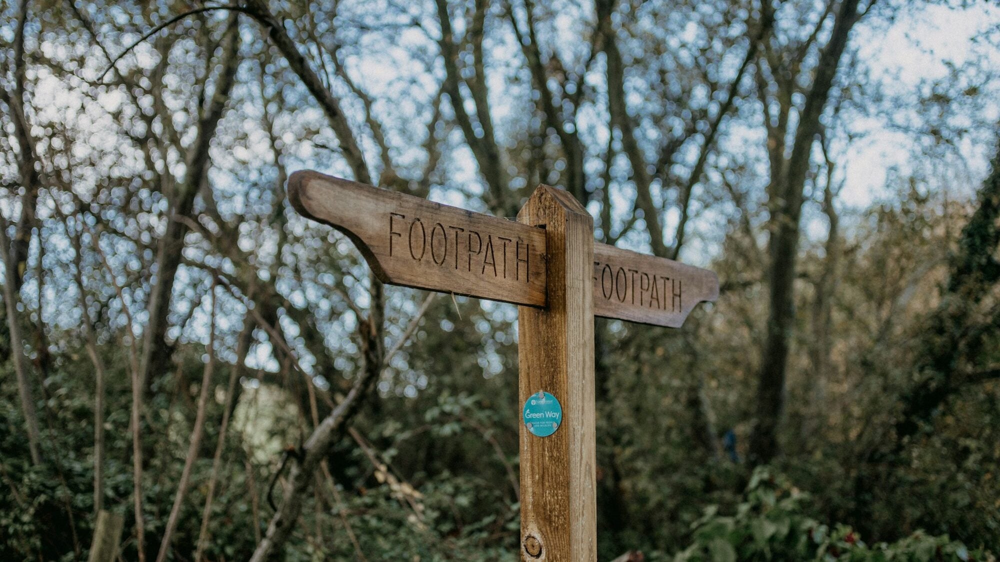 A wooden signpost with two arrows in a wood