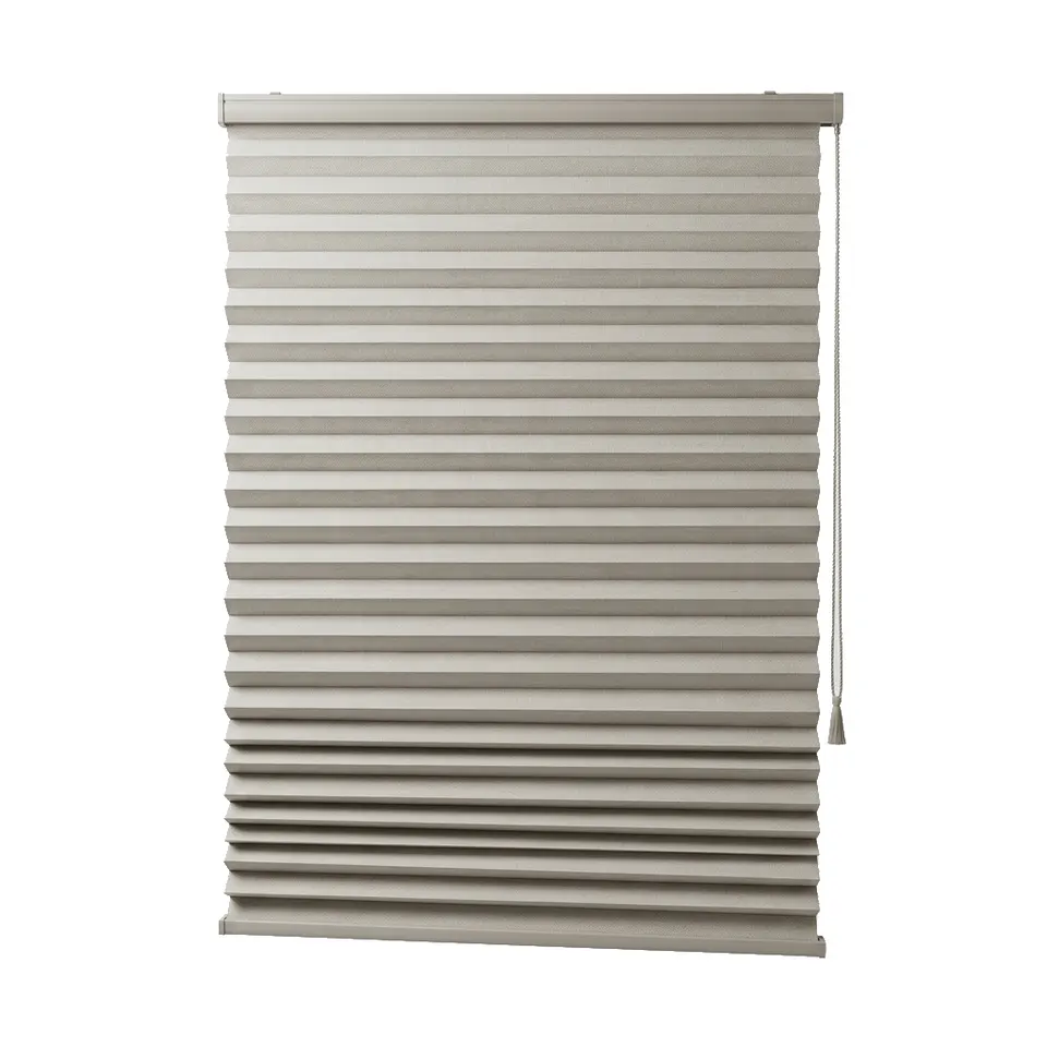 Pleated blinds